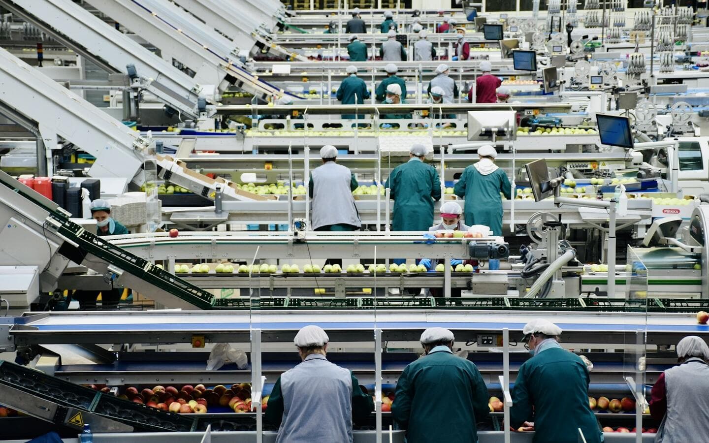 Workers in coats along a conveyor line
